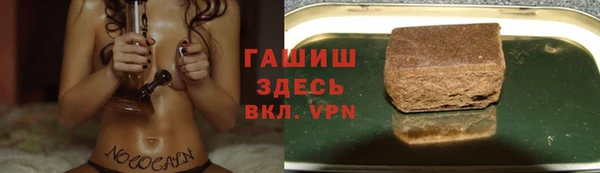 стаф Алексин