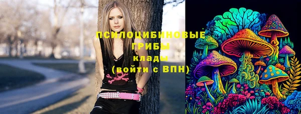 сатива Абинск
