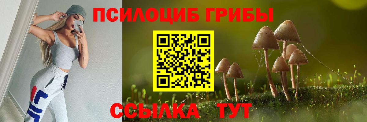 Галлюциногенные грибы ЛСД  Вход с VPN  Скопин  Псилоцибиновые грибы мицелий 